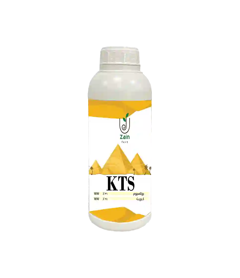 KTS