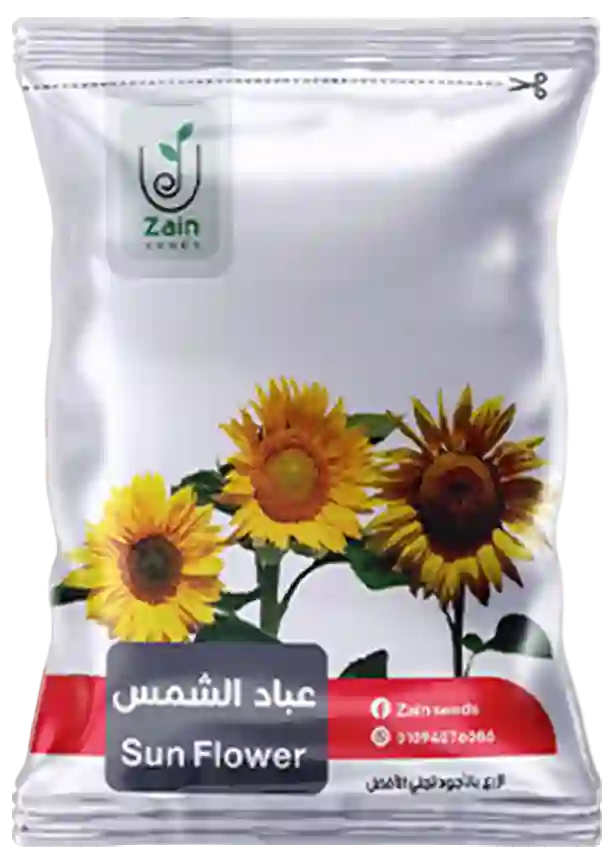 بذور دوار الشمس
