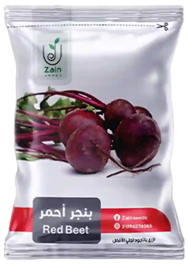 بذور بنجر أحمر
