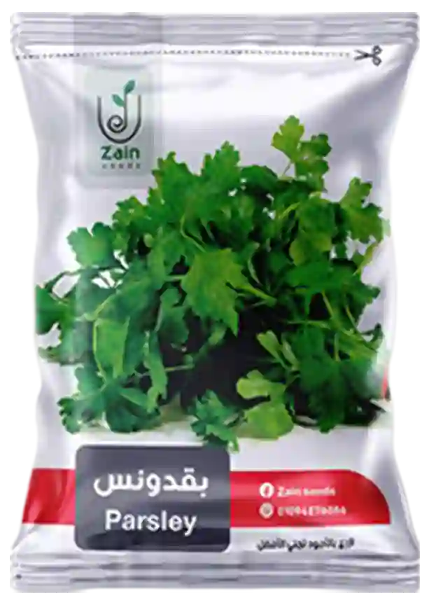 بذور بقدونس