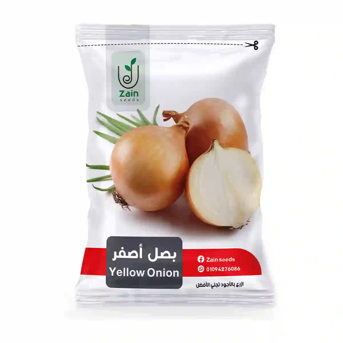 بذور بصل أصفر
