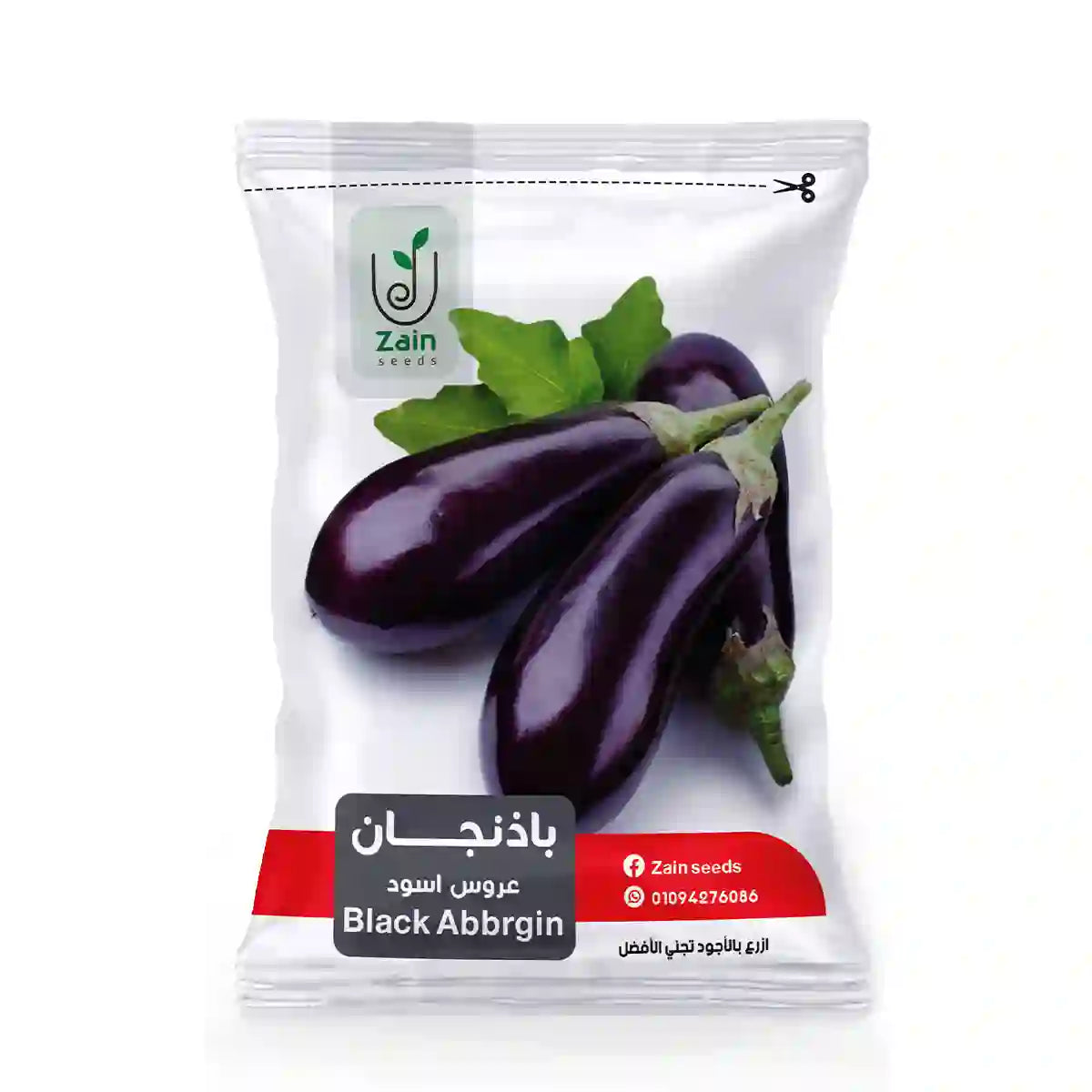 بذور باذنجان عروس أسود