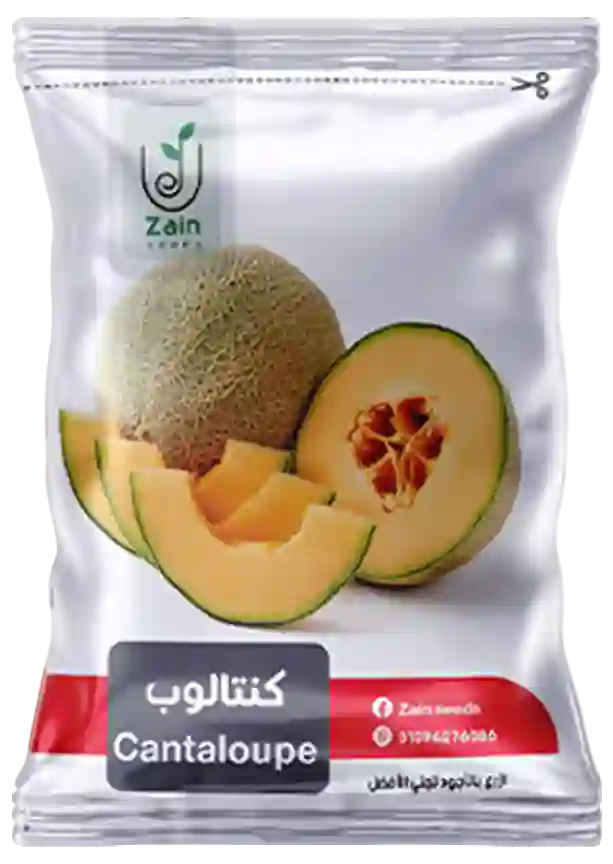 بذور كنتالوب