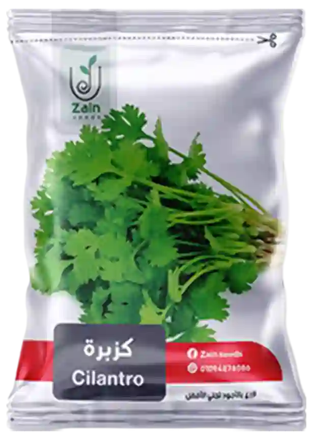 بذور كزبرة