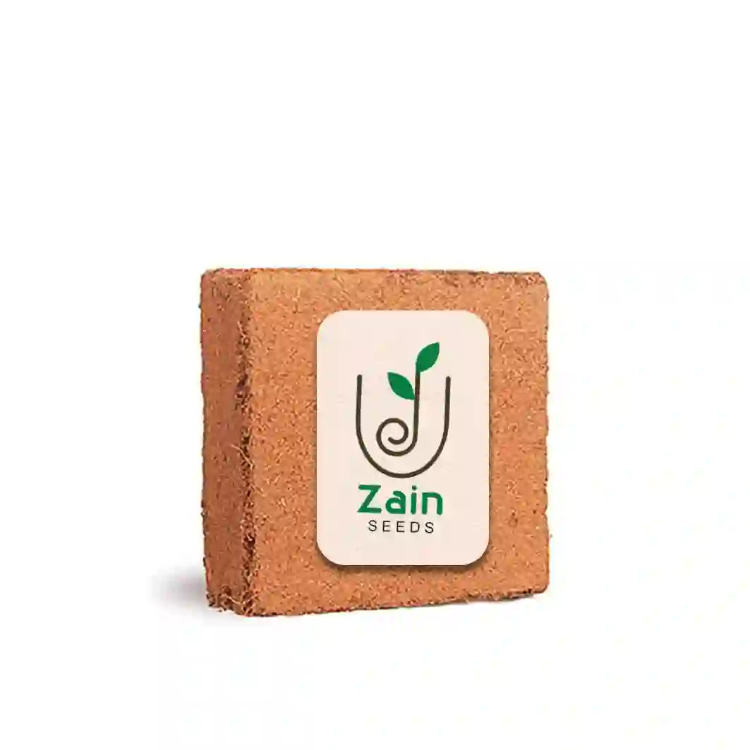 كوكوبيت