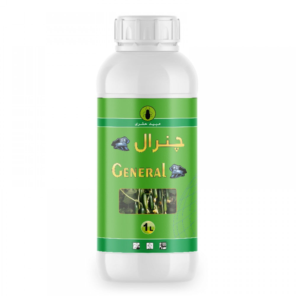جنرال 10 ٪