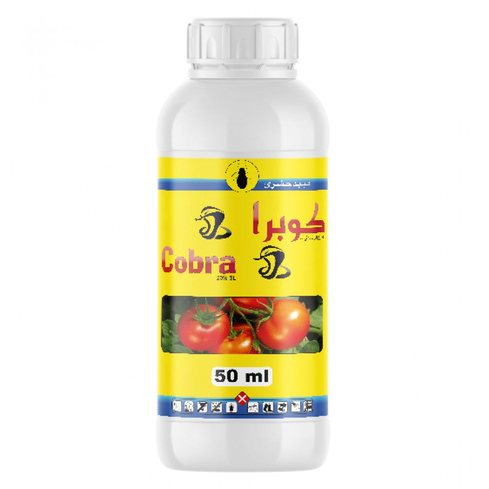 كوبرا 20 ٪