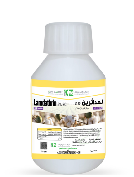 لمداثرين