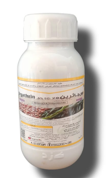 اور جاثرين