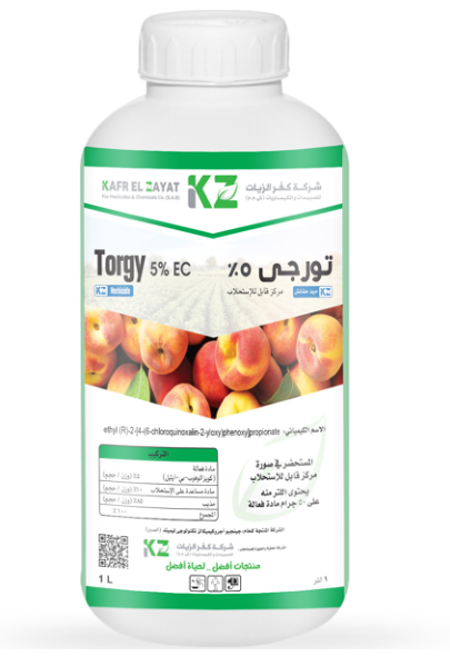 تورجي